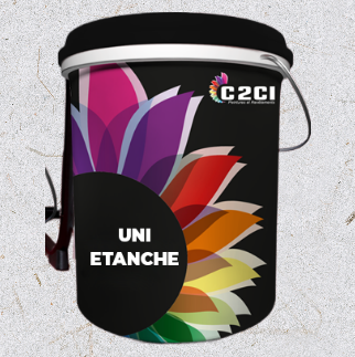 PEINTURE UNI-ETANCHE AUTRES TEINTES 25 KG